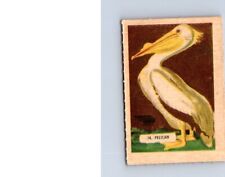 VINTAGE 1945-47 KELLOGGS ALL-WHEAT STRANGE BIRDS #14 PELICAN  NO417 picture