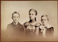 Antique Cabinet Card ID'd Photo Siblings Child Watson 1899 Goebel St Charles MO picture