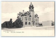 c1905's City Hall Building Clock Tower Entrance Ludington Michigan MI Postcard picture