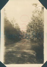  1929 photo Down Kashmir road Murree NW British India Pakistan 3.3x2.3