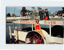 Postcard Southland's famous side-wheeler river boats, Southland picture
