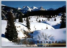 Colorado Scene Near Molas Divide Winter View Pines Snow Mountains  Postcard picture