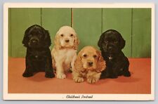 1959 Postcard Children's Portrait Cute Puppy Dogs Cocker Spaniel picture