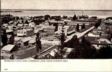 1907. FENELON FALLS & CAMERON LAKE FROM CHURCH HILL. ONT CANADA. POSTCARD FF12 picture