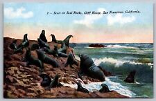 Seals Seal Rocks Cliff House San Francisco California Shore Oceanfront Postcard picture