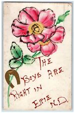 Erie North Dakota ND Postcard The Boys Are Right In Embossed Flowers c1910's picture