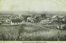 C.1910 Bird's-eye View, Mayfield, Mich. Vintage Postcard F27 picture