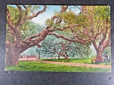 Vintage Postcard The Oaks University Of CA Berkeley Hand Tinted B2335 picture