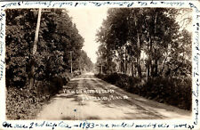 Henderson Minnesota View On Road To Depot RPPC Postcard 1933 picture