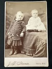 ITHACA MICHIGAN Cabinet Card antique Photo Siblings Victorian Children 1890s picture