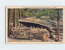 Postcard Alligator Rock Otis Summit Catskill Mountains New York USA picture