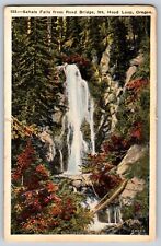 Oregon OR - Sahale Falls from Road Bridge, Mt. Hood Loop - Vintage Postcard picture