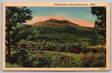 Camels Hump Green Mountains Vermont Flowers Mountain Forest Vintage UNP Postcard picture