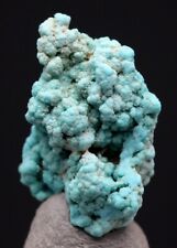 TURQUOISE Specimen Natural Authentic Gemstone Nugget RED MOUNTAIN NEVADA picture