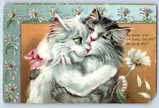 Chicago IL Postcard Boulanger Cat Kitten With Daisy Flower Tuck 1910 Antique picture