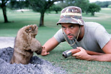 BILL MURRAY CADDYSHACK 8X10 GLOSSY PHOTO PICTURE picture