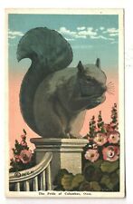 Antique Postcard The Pride of Columbus OH Ohio Squirrel picture