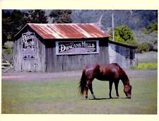 Duncans Mill Horse & Barn - Snapshot picture