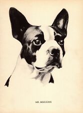 1930s Boston Terrier Print Wall Art Decor Philip Duncan Boston Terrier Art 5446r picture