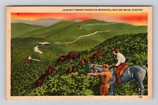 Skyline Drive VA-Virginia, Looking Toward Pinnacles Mountain, Vintage Postcard picture