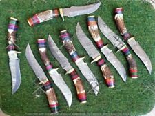 LOT OF 10 10 INCH HANDMADE DAMASCUS STEEL SKINNER KNIFE STAGANTLER W/SHEATH A1 picture