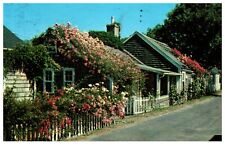 Rose Covered Cottages along Village Street Nantucket Island Massachusetts  picture