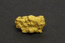 Gold nugget 2.4 Grams  Leadville M.D.   Lake Co. CO picture
