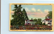 Postcard - Luther Burbank's Gardens, Santa Rosa, California picture