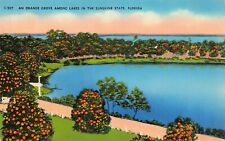 Lakeland FL Florida Keys Orange Grove Farm Plantation Citrus Vtg Postcard B6 picture
