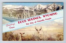 Rock Springs WY-Wyoming, Banner Greetings, Animals, Mountains Vintage Postcard picture