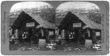 The leading store, Canyon City, Dyea Trail, Alaska c1900 Old Photo picture