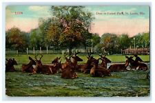 1916 Deer In Forest Park St. Louis Missouri MO, Godfrey Illinois IL Postcard picture