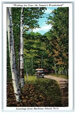 c1940 Greetings From Waiting For You Natures Wonderland Mackinac Island Postcard picture