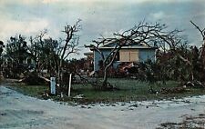 Craig Key FL Florida Keys Hurricane Donna 1960 Disaster Storm Damage Postcard N4 picture