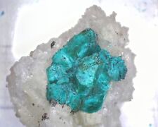 05796 MM Dioptase MD010257 Namibia (No Specific Location) picture