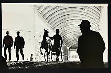 1980 Kansas City MO American Royal Horse Show Kemper Arena Vintage Press Photo picture