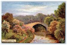 c1910 Burns' Country Auld Brig O Doon AYR Oilette Tuck Art Postcard picture