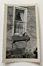 Vintage Old 1920s Or 1930s Photograph Snapshot Kitten Cat Sitting in Window Box picture