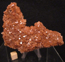 * Awesome Umber/Ochre Large Aragonite Tabular Crystal Cluster Morocco picture
