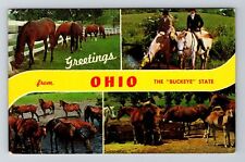 Ohio OH-Ohio, General Greetings, Buckeye State, Vintage Postcard picture
