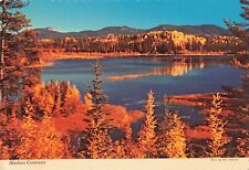 AK Alaska, Beautiful Fall Foliage Alaskan Contrasts, Vintage Scalloped Postcard picture