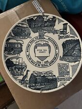 otter tail county minnesota Centennial Pkate 1868 - 1968 W/ Hanger picture