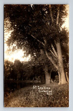 c1914 RPPC Constantine Michigan MI Scenic View of St. Joe River Joseph Postcard picture