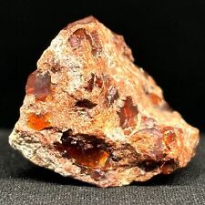 Rare Majestic Opal Specimen Mexican Jalisco Dark Red Fire Opal Unaltered Raw picture