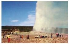 POSTCARD Old Faithful Geyser and Inn Yellowstone National Park Wyoming 2 picture