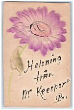 Mc Keesport Pennsylvania PA Postcard Helsning Embossed Sunflower Airbrush c1910s picture