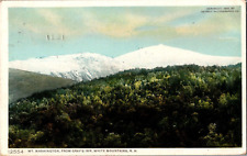 Postcard Mt. Washington From Gray's Inn White Mountains NH Detroit Publishing picture
