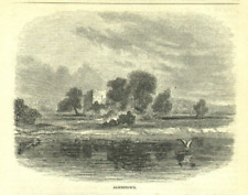 Virginia Jamestown Village Ruins 1859 Antique Engraving Print picture