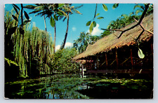 Vintage Postcard The Willows Honolulu Hawaii 1962 picture