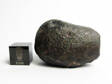 NWA 869 Meteorite 28.96g Fully Crusted, Beautifully Shaped picture